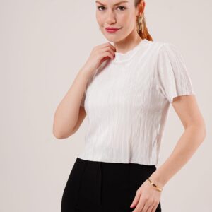 Ribbed Short Sleeve Shiny WholesaleBlouse - Brand: Lustrin - Women & Kids, Baby Clothes Wholesale - TheBS Women