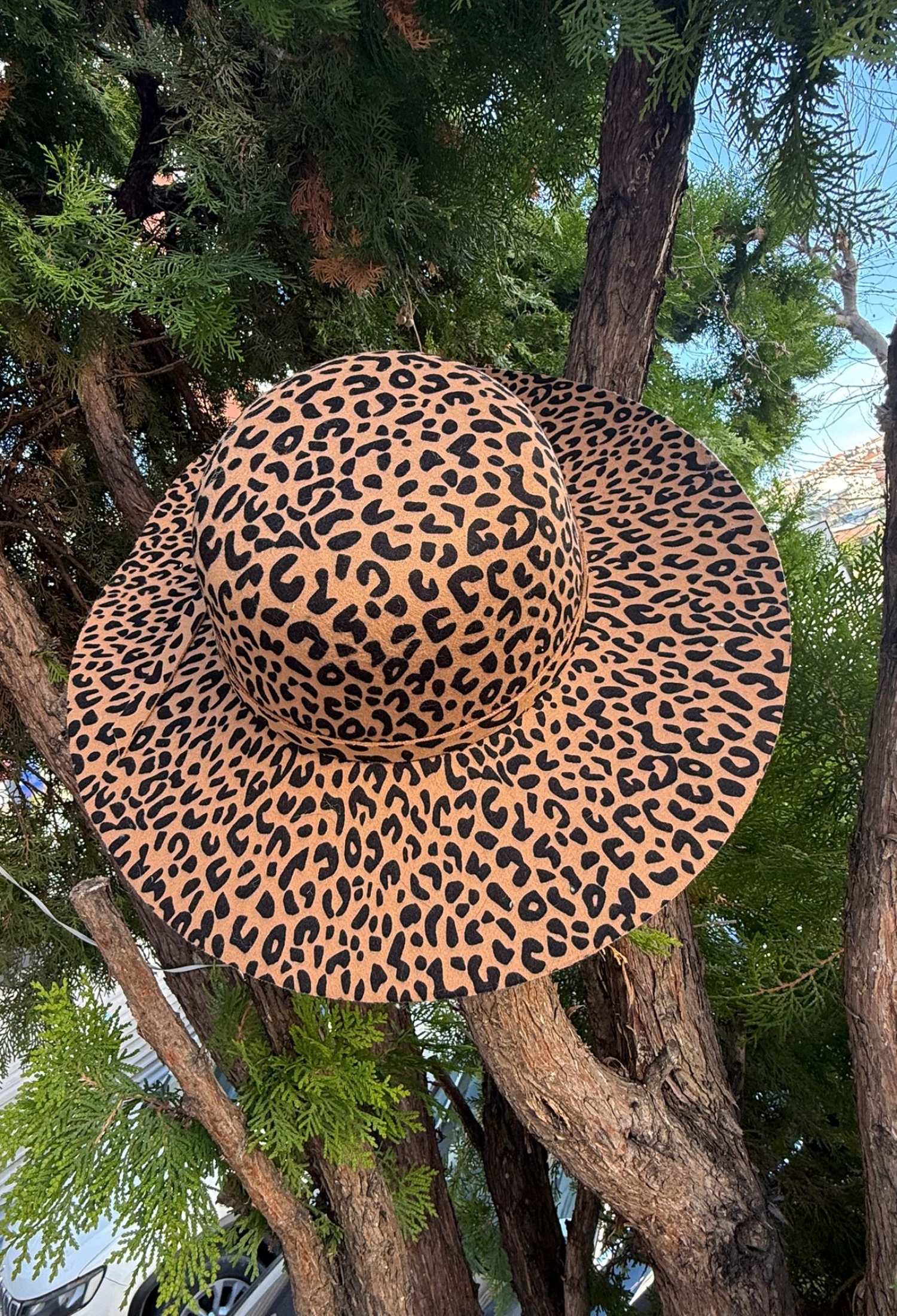 Leopard Pattern Wide Brim Hat - Multicoloured - Brand: Axesoire - Women & Kids, Baby Clothes Wholesale - TheBS Women