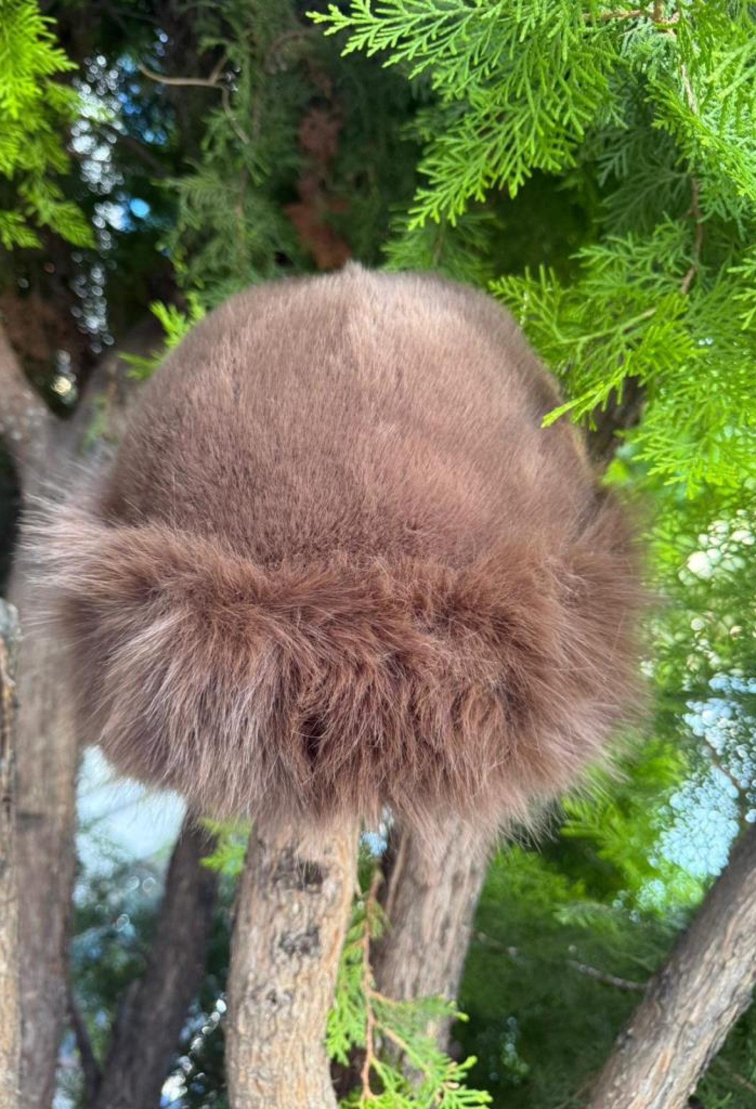 Brown Hat Ethnic Elegant Vintage Formal Retro - Brand: Axesoire - Women & Kids, Baby Clothes Wholesale - TheBS Women