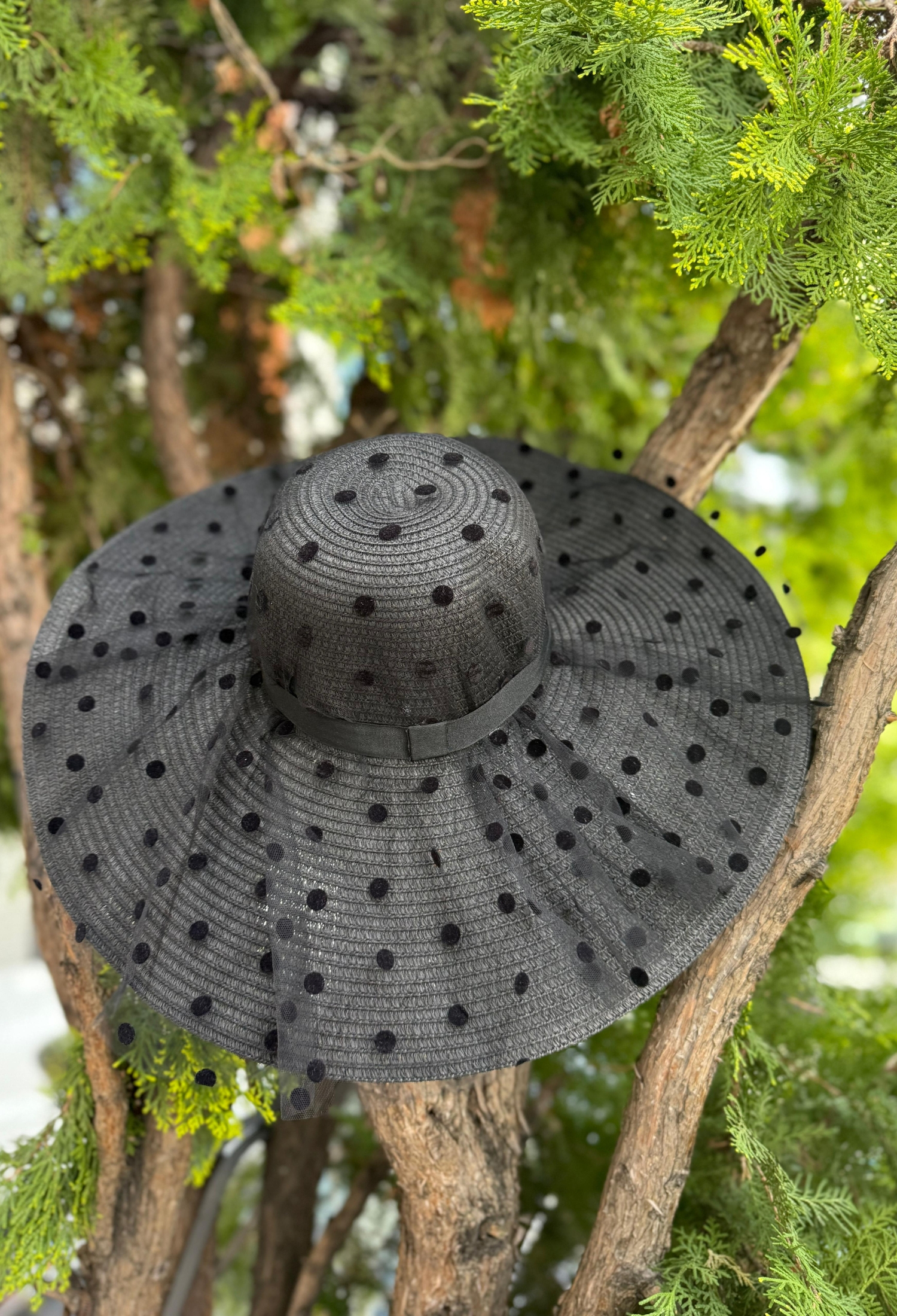 Elegant Polka Dot Hat For Evening Events - Brand: Axesoire - Women & Kids, Baby Clothes Wholesale - TheBS Women